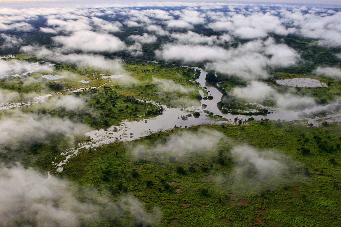 congo basin tour