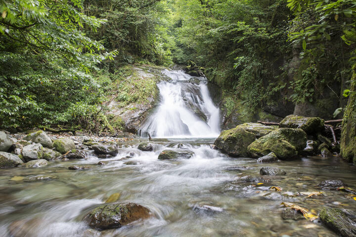 © Agency of Protected Areas. Kintrishi Protected Landscape.