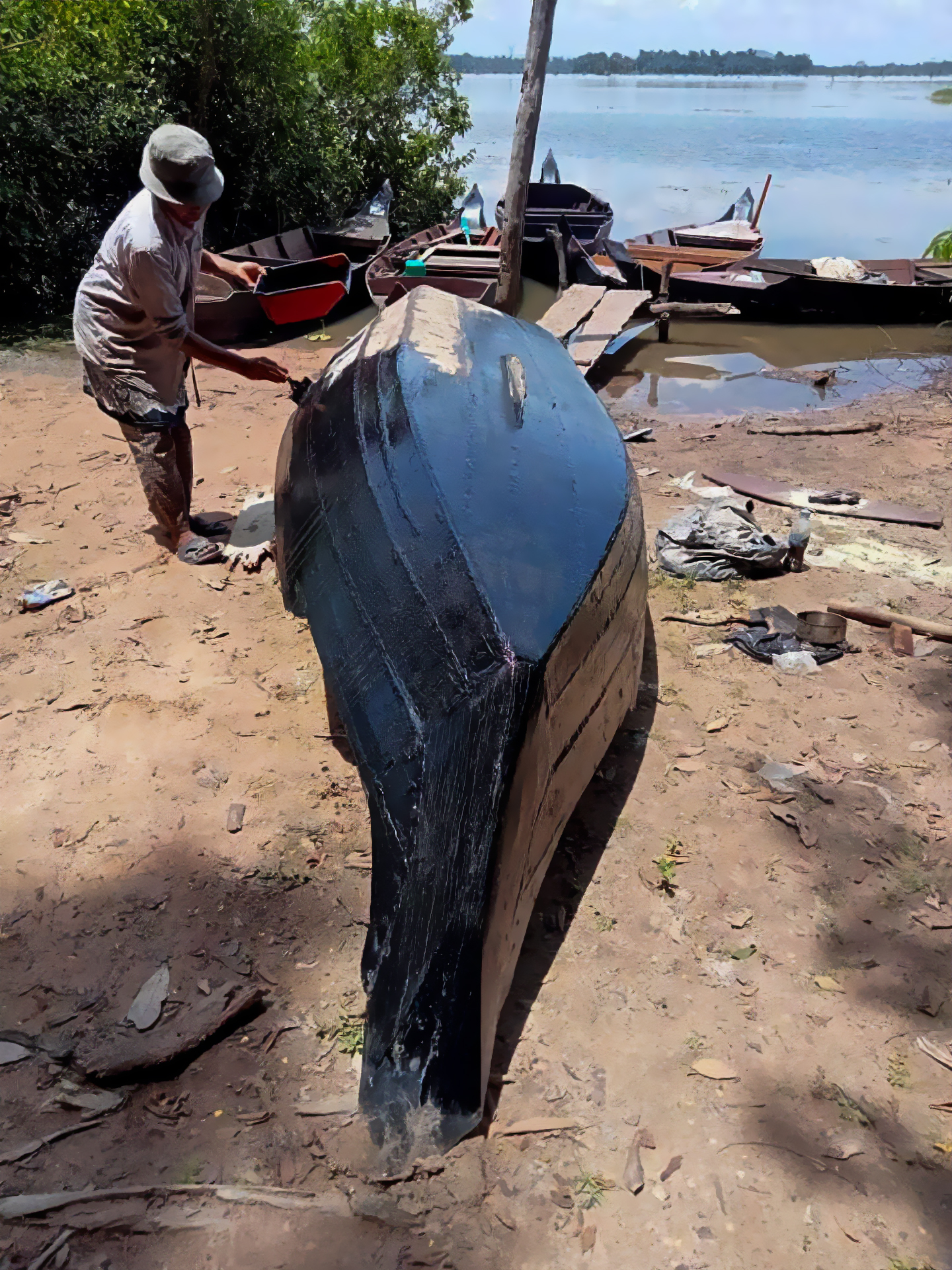 tourism impact in cambodia