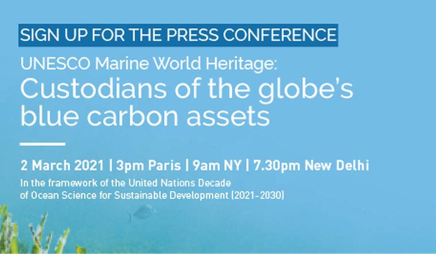 Online Press Conference Unesco Marine World Heritage Custodians Of The Globe S Blue Carbon Assets Unesco World Heritage Centre