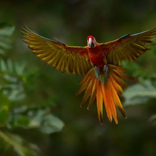 47 COM Side Event: Using the World Heritage Convention to deliver on the Kunming-Montreal Global Biodiversity  ...