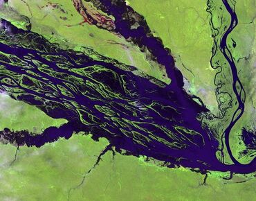 World Wetlands Day 2019: “Wetlands and Climate Change” World Wetlands Day 2019: “Wetlands and Climate Change”