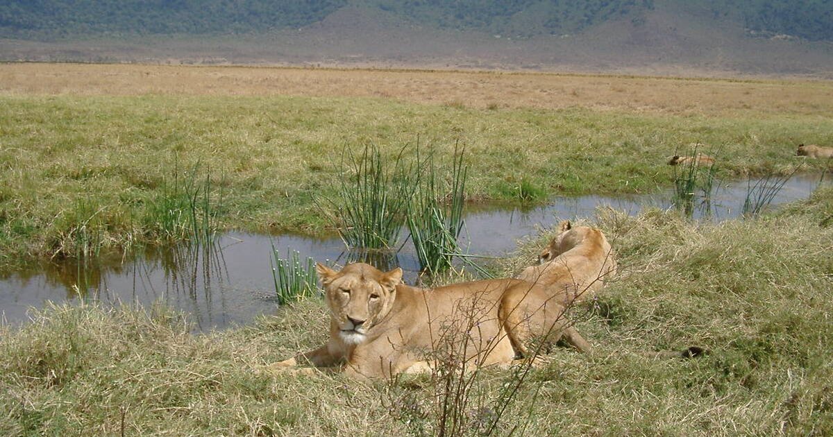 Conservation Area - UNESCO World Heritage Centre