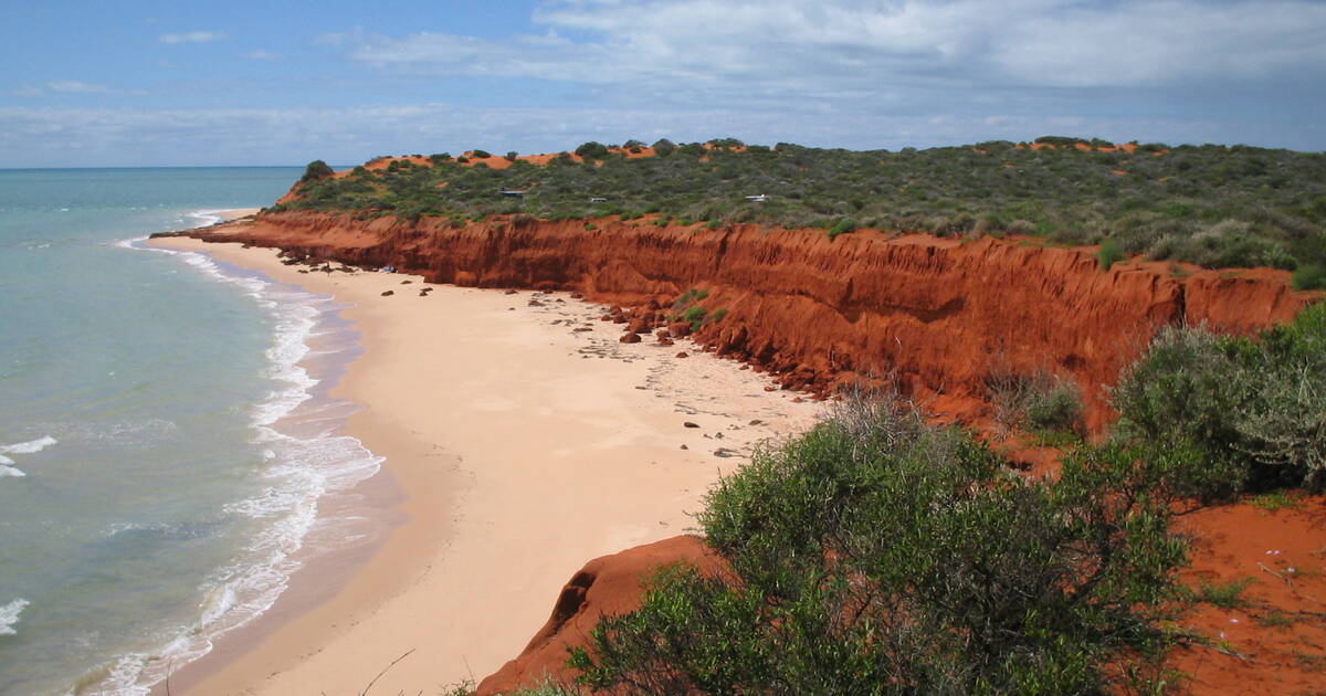 Shark Bay Western Australia Unesco World Heritage Centre