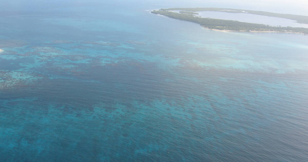 Belize Barrier Reef Reserve System Unesco World Heritage Centre