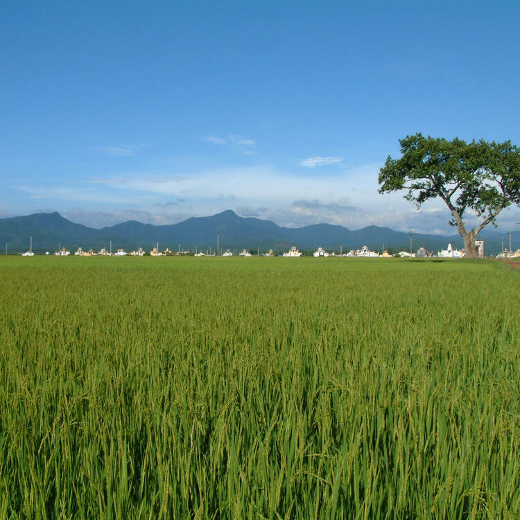 Phong Nha-Ke Bang National Park - UNESCO World Heritage Centre