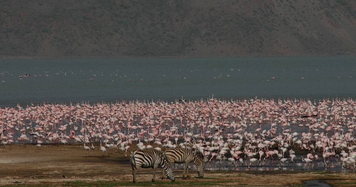 Kenya Lake System in the Great Rift Valley - UNESCO World Heritage Centre