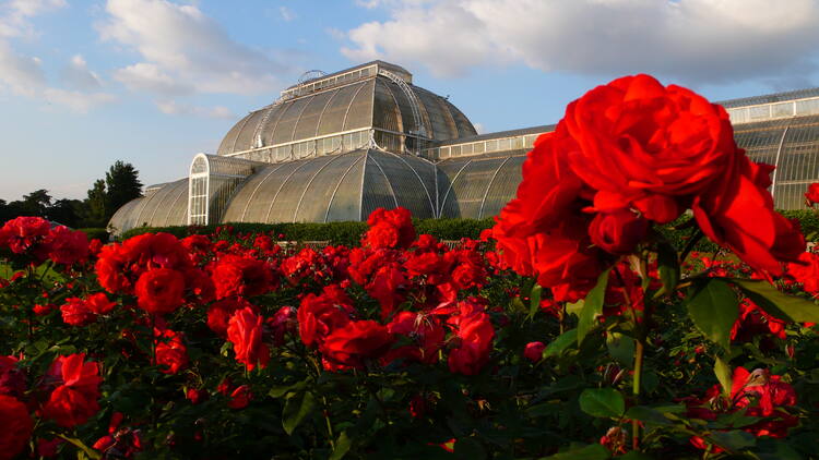 Hasil gambar untuk Kew Gardens, Royal Botanic Gardens