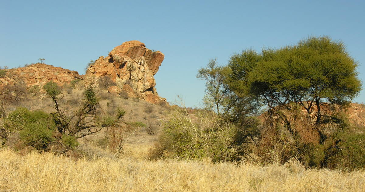 Mapungubwe Cultural Landscape - UNESCO World Heritage Centre