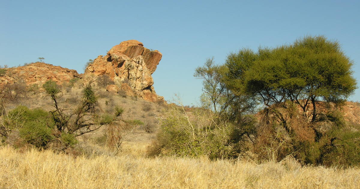 Mapungubwe Cultural Landscape - UNESCO World