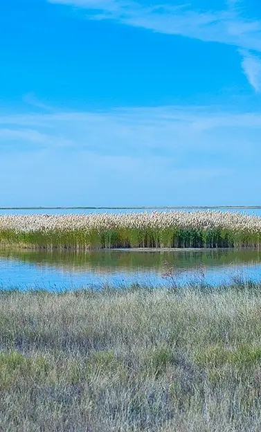 Saryarka – Steppe and Lakes of Northern Kazakhstan