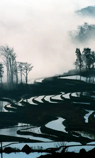 Paysage culturel des rizières en terrasse des Hani de Honghe