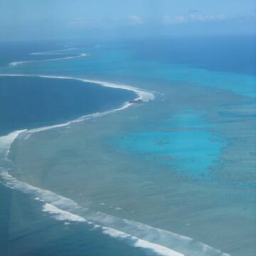 Lagoons of New Caledonia: Reef Diversity and Associated Ecosystems ...