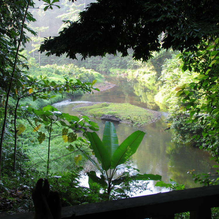 Tropical Rainforest Heritage of Sumatra - UNESCO World Heritage Centre