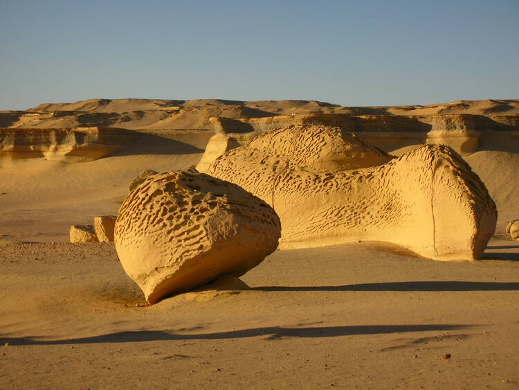 Wadi Al-Hitan (Whale Valley) - UNESCO World Heritage Centre