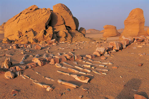 UNESCO World Heritage Centre - Document - Wadi Al-Hitan (Whale Valley) (Egypt)