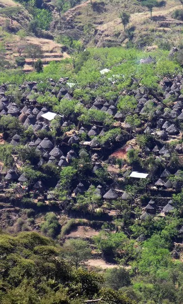 Konso Cultural Landscape