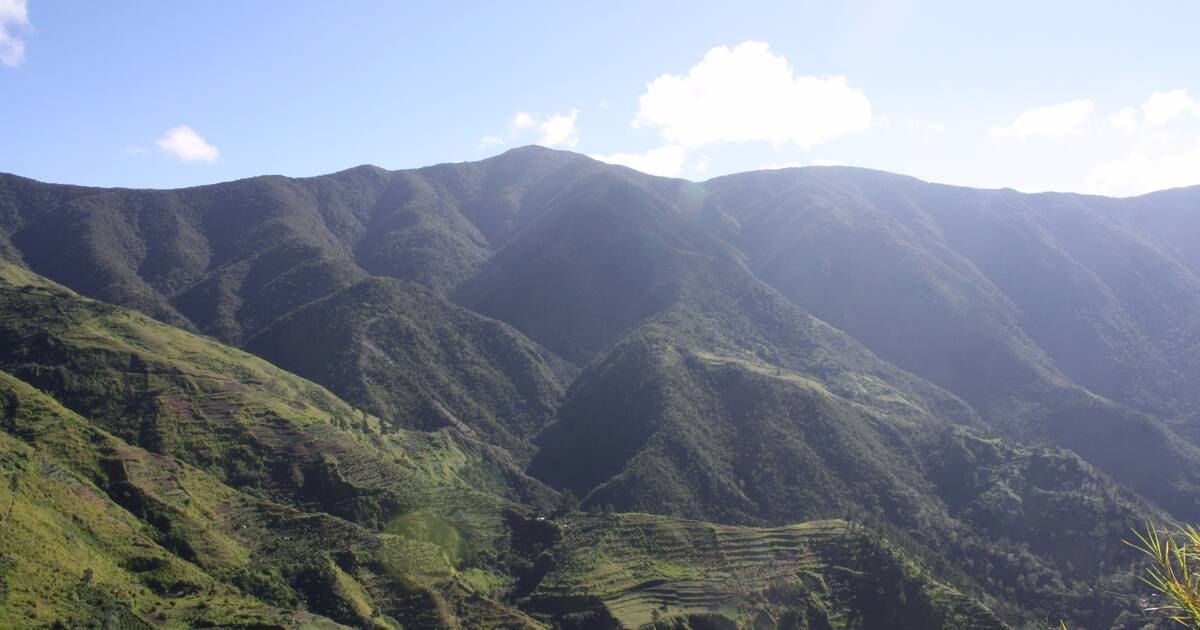 Blue and John Crow Mountains - UNESCO World Heritage Centre