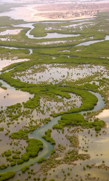 Saloum Delta