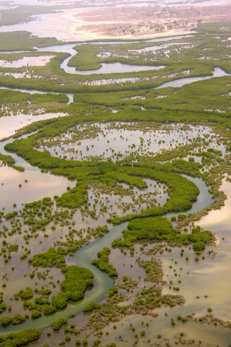  Guide de vacances et de voyage au Sénégal - Parc national du delta du Saloum