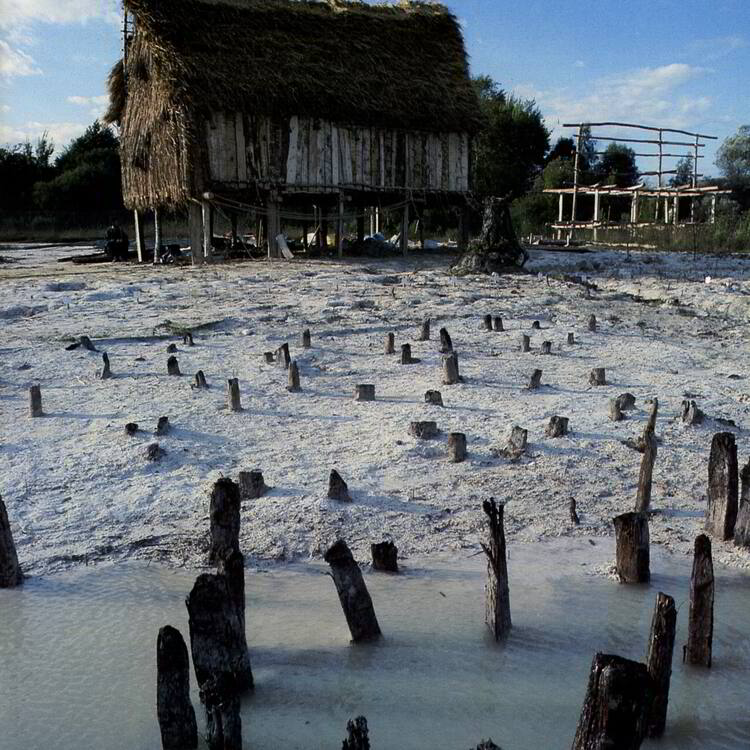 Prehistoric Pile Dwellings around the Alps