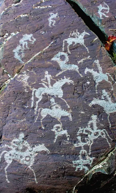 Petroglyphic Complexes of the Mongolian Altai