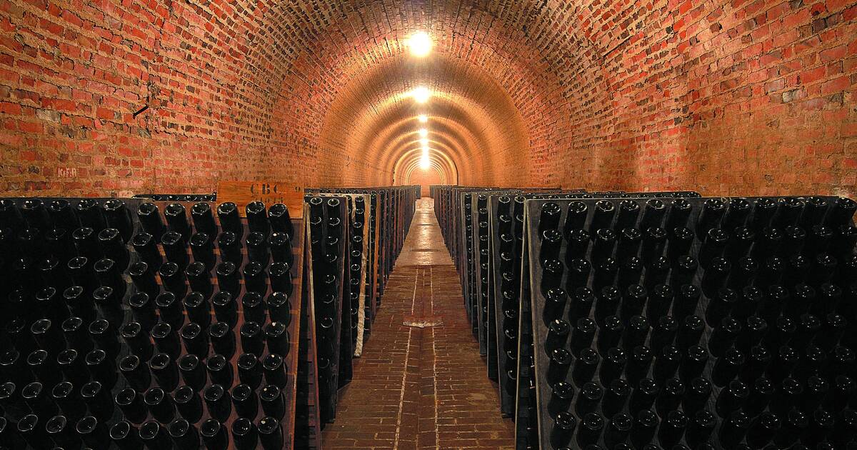 Why Everything You Know About Easy Cellar Review Is A Lie