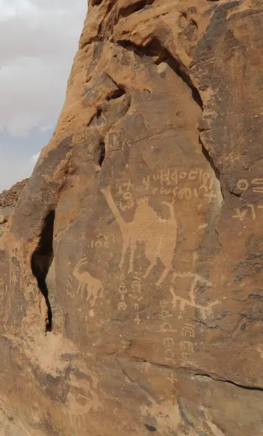 Rock Art in the Hail Region of Saudi Arabia
