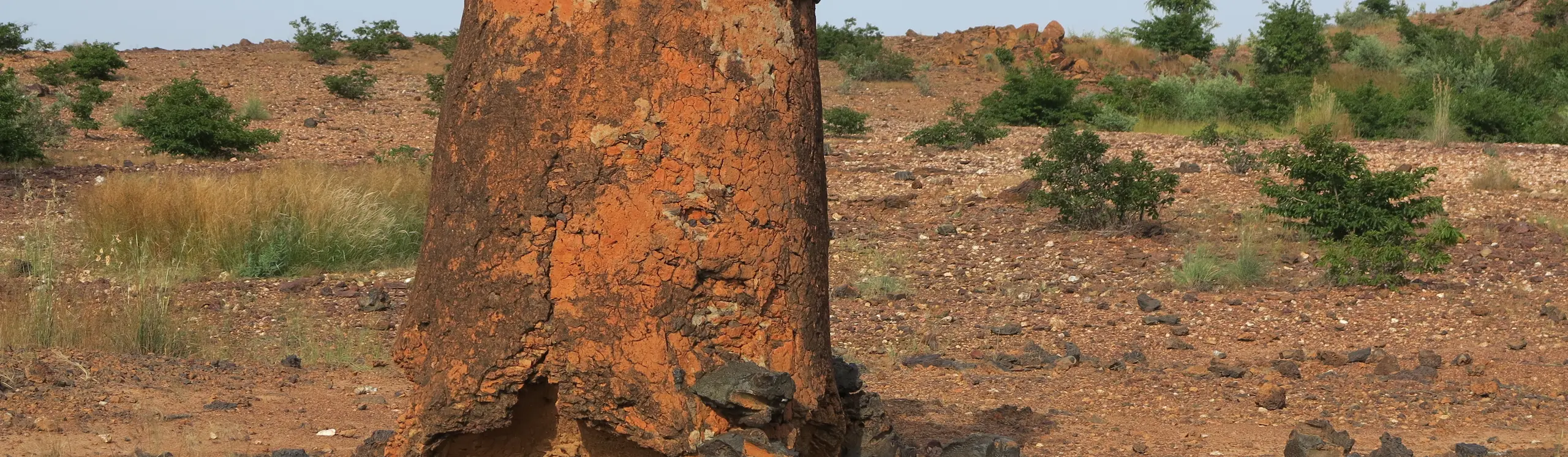 Sites de métallurgie ancienne du fer du Burkina Faso