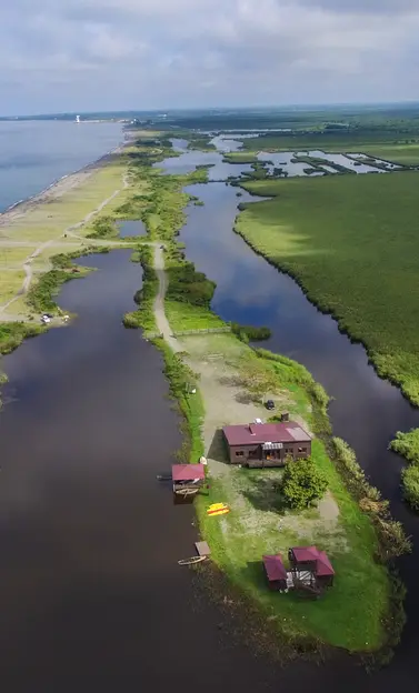 Colchic Rainforests and Wetlands