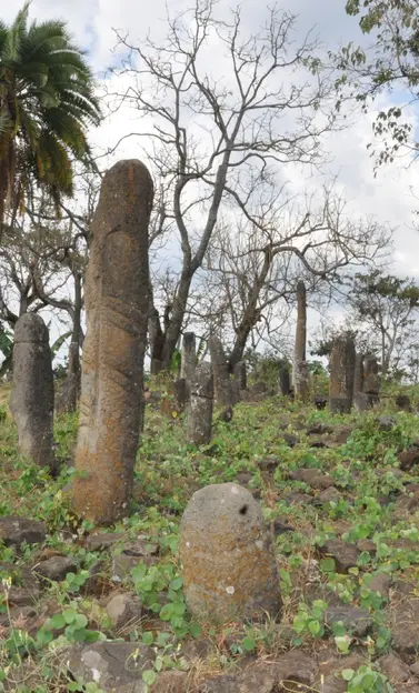 The Gedeo Cultural Landscape