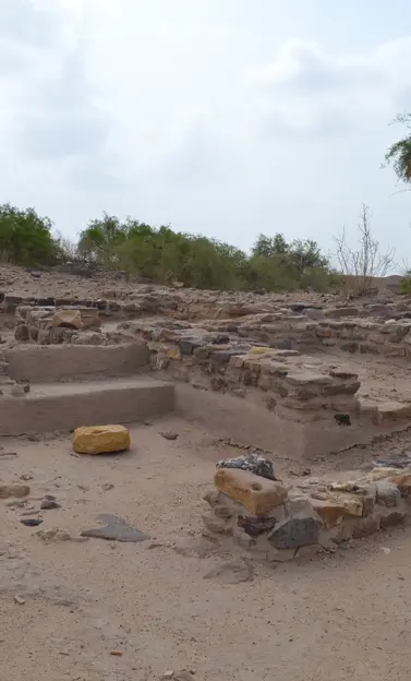 Dholavira: a Harappan City