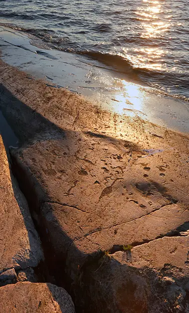 Petroglyphs of Lake Onega and the White Sea