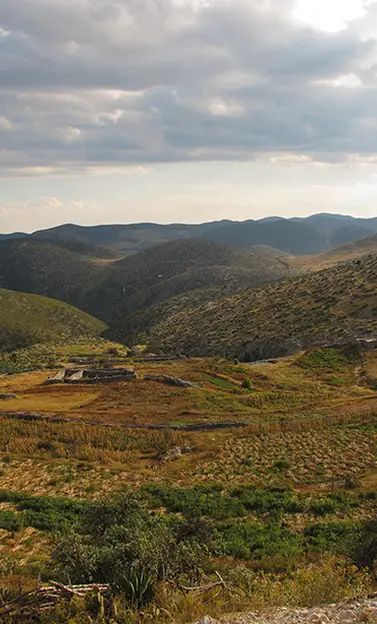 Route de Wixárika à travers les sites sacrés jusqu’à Wirikuta (Tatehuarí Huajuyé)